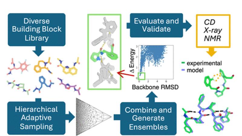 Diagram that describes a systematic approach to search through dipeptide combinations of 130 chemically diverse amino acids to identify those predicted to populate unique low-energy states.