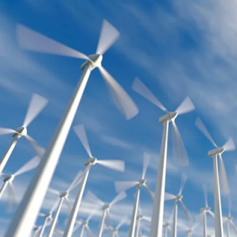 Image of a group of windmills in action