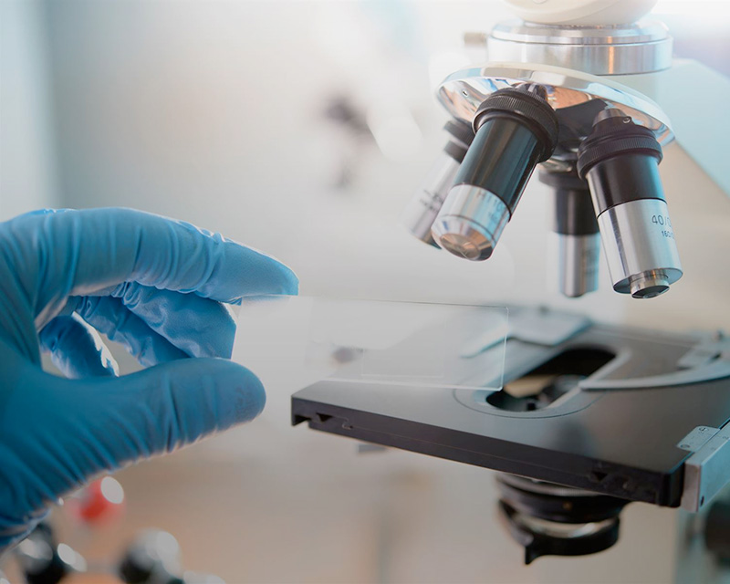 Gloved hand hold a specimen in front of a microscope