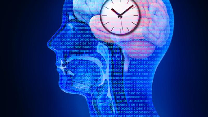 3d profile of head with brain and clock