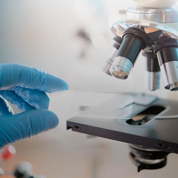 Gloved hand hold a specimen in front of a microscope